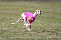 Finals Obie-3476