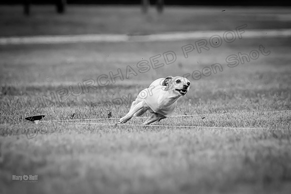 Prelims Rocketgirl-1123-2