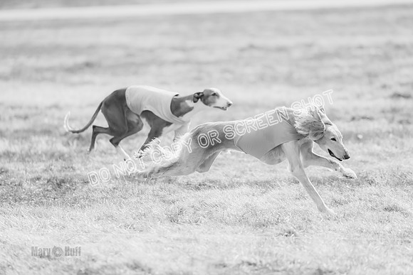 _E4I4609