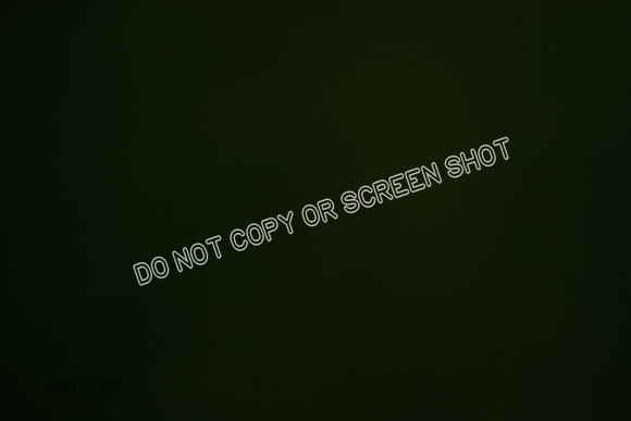 _E4I4513