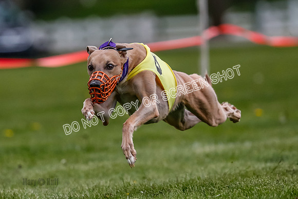 WRA, Prg 1, Race 3, Kixx Guppy Flair Whammy-8279
