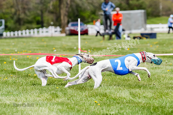 NOTRA Program 3, Race 3, Eddie Elvis Picanha Coyote-2-30