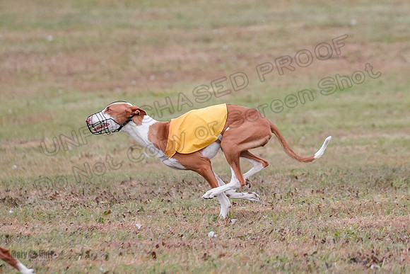 1 Prelims Fch 2 Madyson Maverick-5859