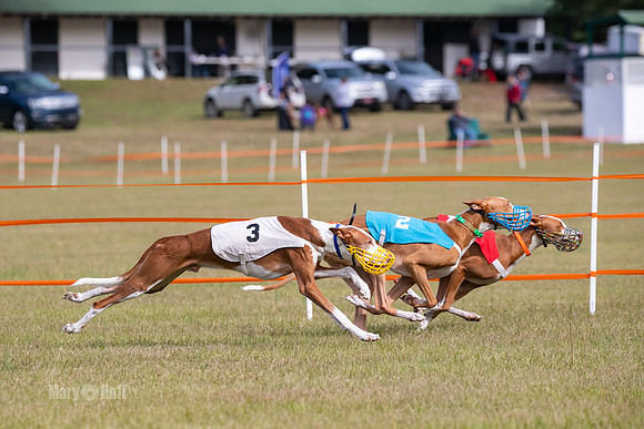 Group B, Prg 2, IB, Race 4-7566