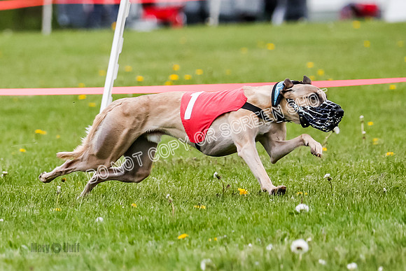 NOTRA Program 2, Race 4, Rum Moki Clyps-2-3