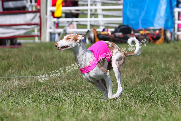 Open Prelim B3, Tavia, Birdie-7936