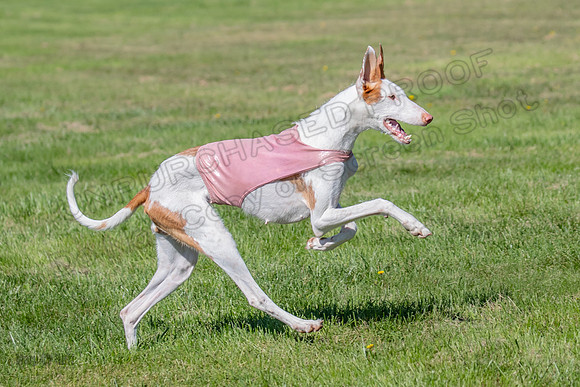 Prelims Fch 1 Ginny Willow Madyson-5484