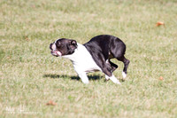 IMG_1283