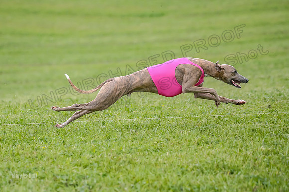 Prelim Open E2, Riddle Finely Scarlet-4838