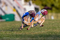 Prg 1, race 1, Arrow Blitz Rosie Floyd-0561