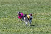Prelim, Chuck Pearl Quinn-2465