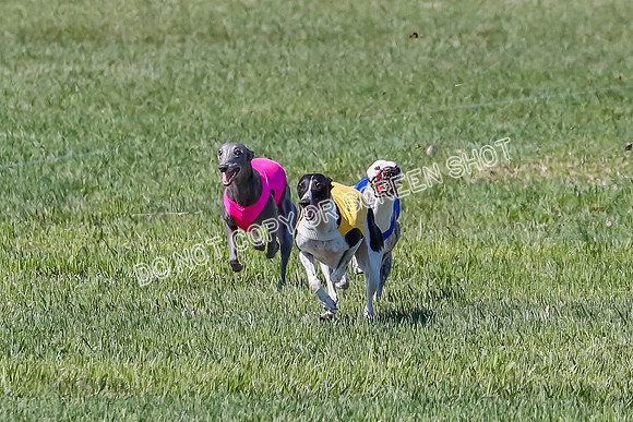 Prelim, Chuck Pearl Quinn-2465