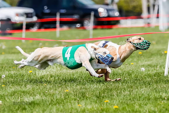 NOTRA Program 3, Race 3, Eddie Elvis Picanha Coyote-2-21