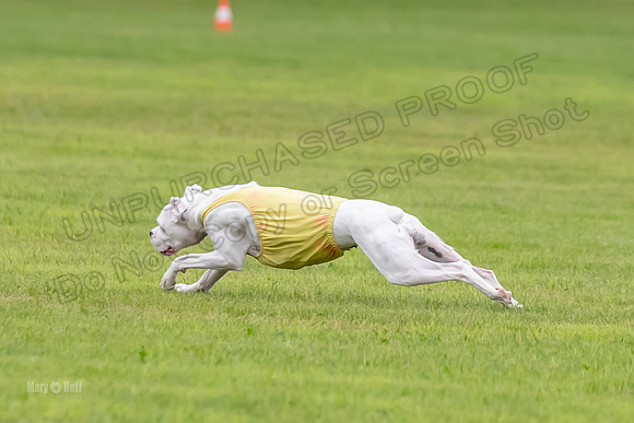 Prelims Nilla-0889