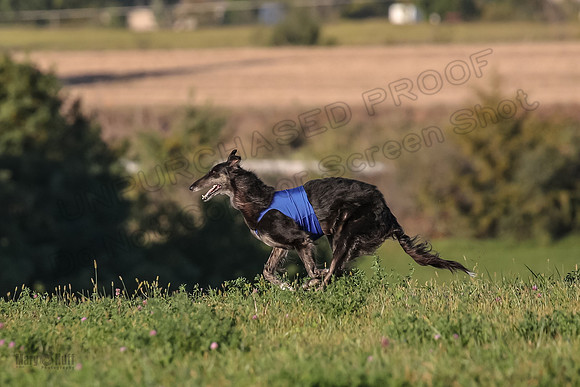 1 Prelims Vet 1 Yaro Chase Zip-3096