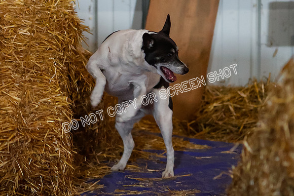 _F4I8760