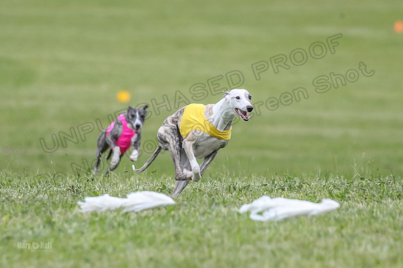 Finals Open C4, Ripley Prim Synner-0751