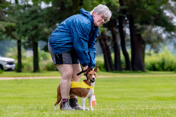 Finals Basenji-1329