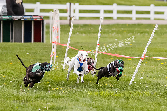 NOTRA Program 4, Race 1, Warrior Barley Flair Victor-2-13