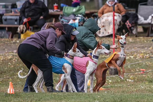 1 Prelims Fch 1 Penny Jadis Willow-5741