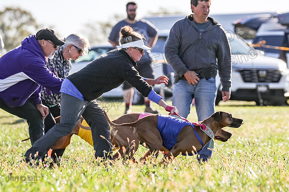 1 Prelims Open 1 Kinky Ash Zanna-4398