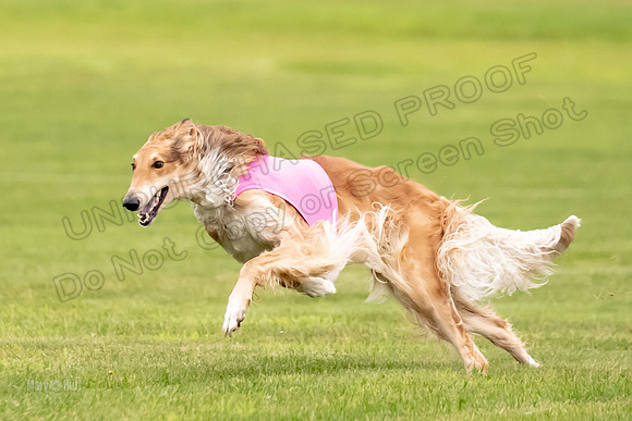 Open Prelim 2, Masquerade Freebie-0534