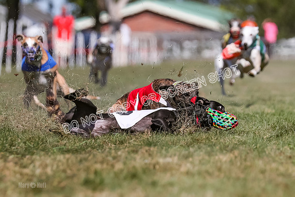 Prg 4, Race 1, Ruffian Flynn Nami Rigby Arrow Echo-0051