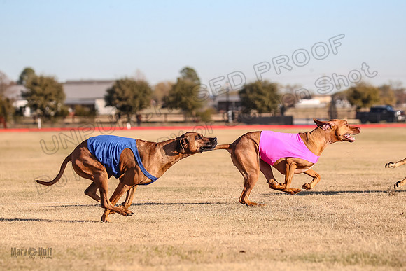 1Prelims Spec 1 Ash Zoey Zanna-9641