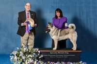 Elkhound 2020-1138-Edit