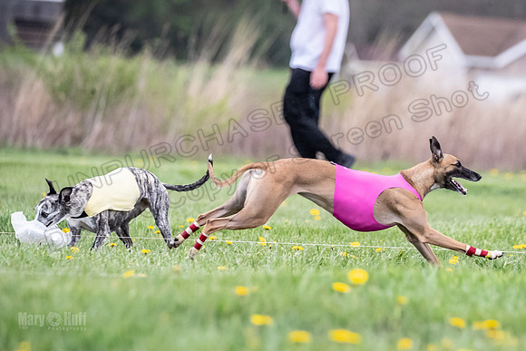Finals Fch A1 Whisper Treble JesseJames-9103