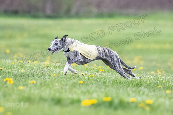 Finals Fch A1 Whisper Treble JesseJames-9064