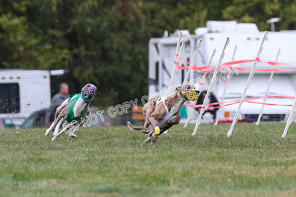 Prg 1, Race 18, Bibi Banshee Thunder Moonstruck-1018