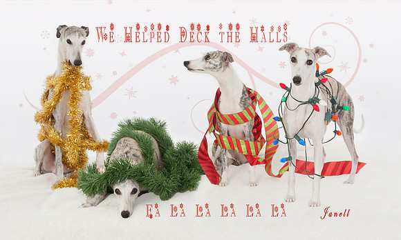 Honza 2012 Christmas Card