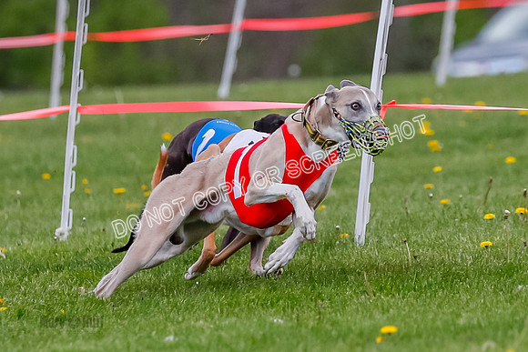 NOTRA Program 2, Race 7, Ragnar Power Sandy Elvis-2-3