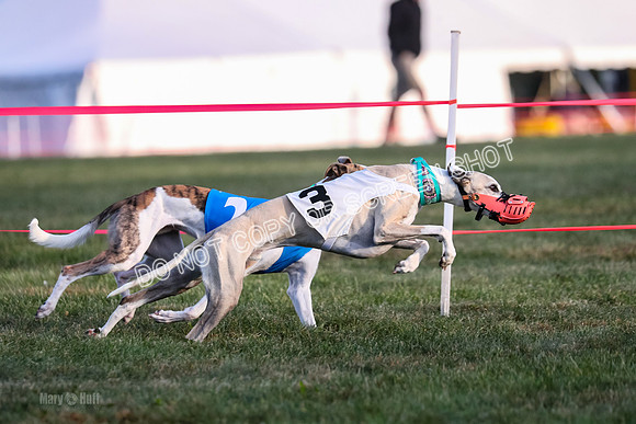 Prg 1, race 2, Spud Gnocchi Rigby-0599