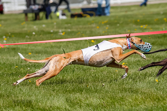 NOTRA Program 3, Race 4, Maybe Power Flora Clyps-2-9
