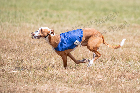 Finals Specials B2 Willow Katy Penny-1462