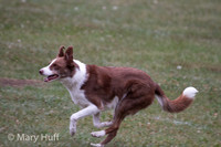 IMG_9571