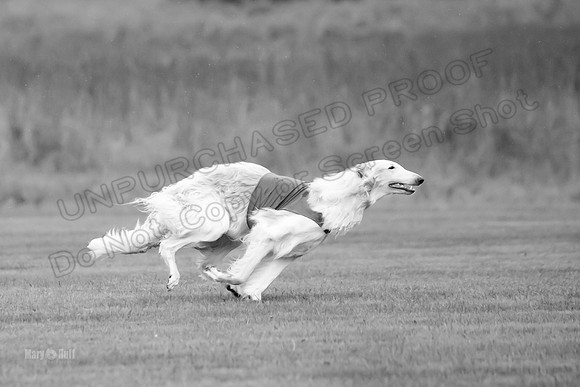 Open Prelim Bluegene Rhett Zen-0489-2