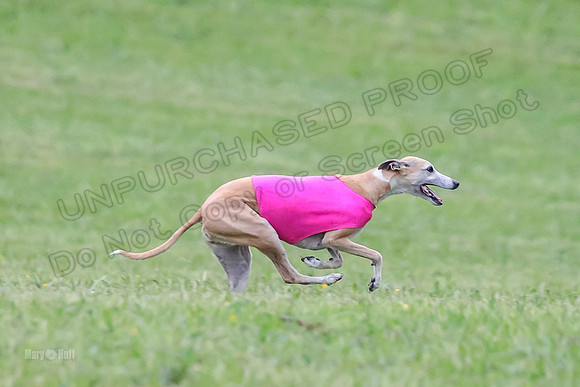 Prelim Open B1, Prudence Rosa Zelda-8393