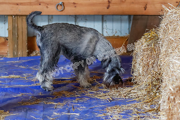 _F4I9299