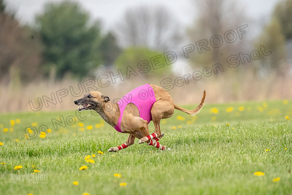 Finals Fch A1 Whisper Treble JesseJames-9042
