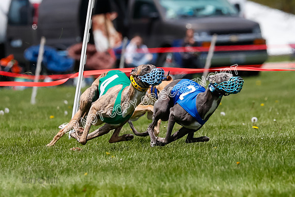 NOTRA Program 3, Race 7, Sparks Jubilee Tahoe Mika-2-10