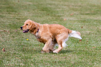 IMG_0820