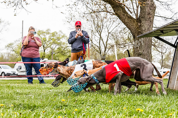 WRA, Prg 3, Race 7, Jubilee Sparks Snacks Tahoe Babblez Stormy-9203