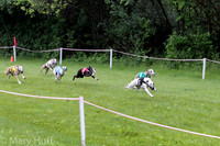 IMG_3689