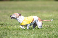 Rocki Girl-6495