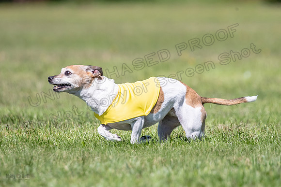 Rocki Girl-6495