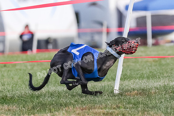 Prg 1, race 4, Rarity Hillary Barley Clyps-0646