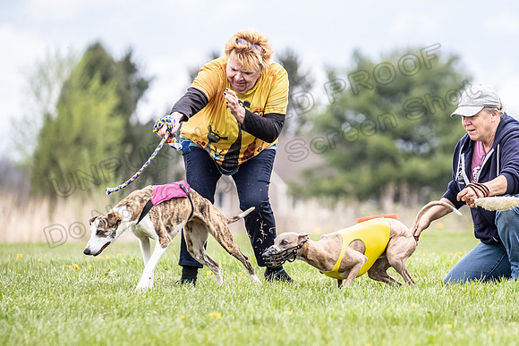 Finals Fch A4 Finely Carrie-9289